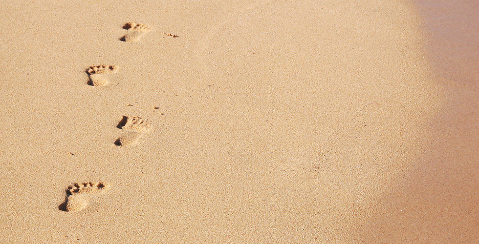 Análise de sangue total, soro, plasma, urina, cabelo e muito mais