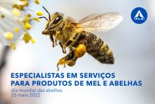 Dia mundial das abelhas | Especialistas em serviços para produtos de mel e abelhas