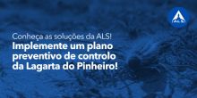 Lagarta dos pinheiros | Conheça as soluções da ALS