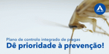 Dê prioridade à prevenção! Plano de controlo de pragas