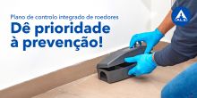 Dê prioridade à prevenção! Plano de controlo de roedores