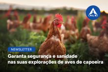 Garanta segurança e sanidade nas suas explorações de aves de capoeira